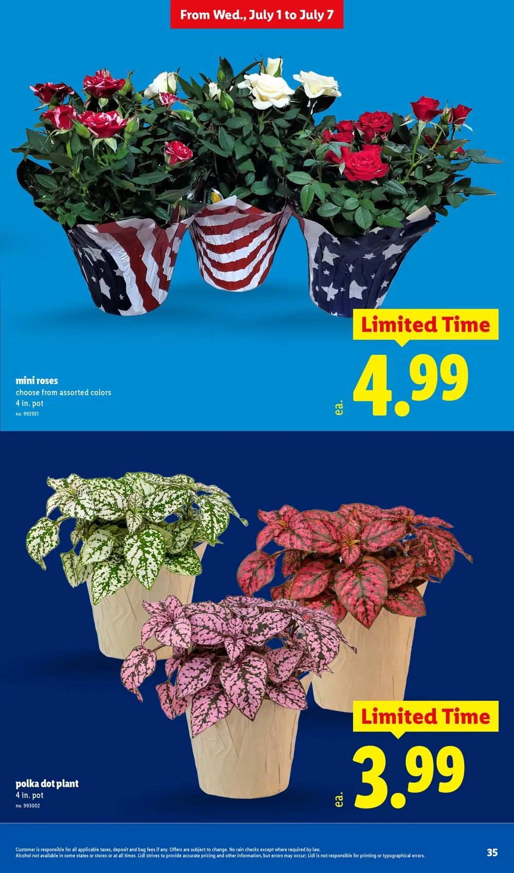 Lidl Weekly Ad (July 8 - 14, 2026) Preview - Image 4 July 1 -7