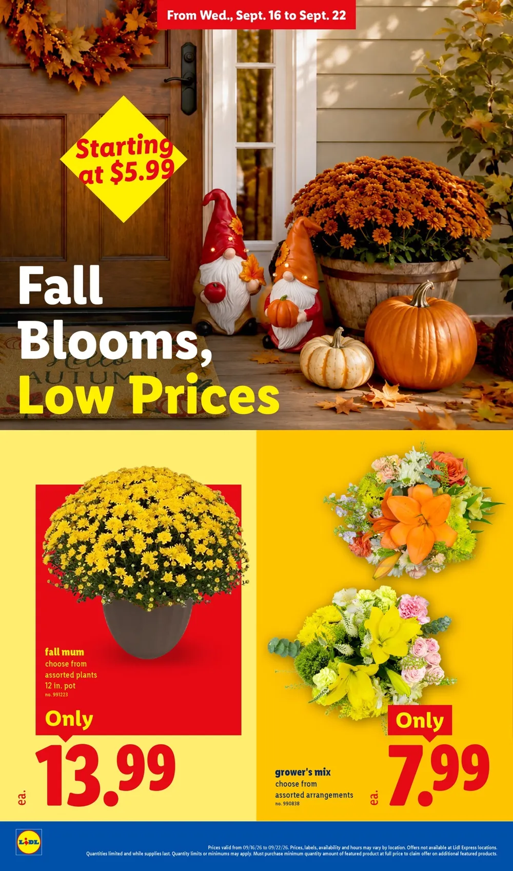 Lidl Weekly Ad (September 16 - 22, 2026) Preview - Page