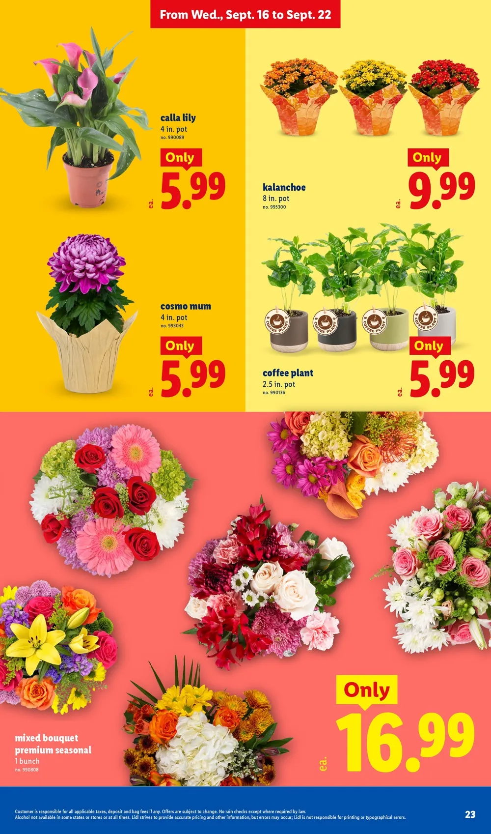 Lidl Weekly Ad (September 16 - 22, 2026) Preview - Page