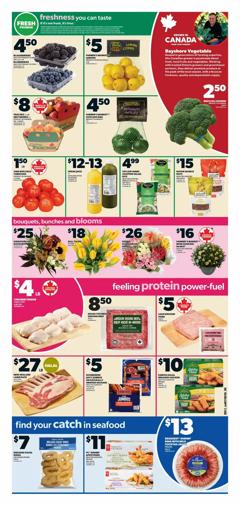 Zehrs Flyer (September 17 - 23, 2026) Preview - Page