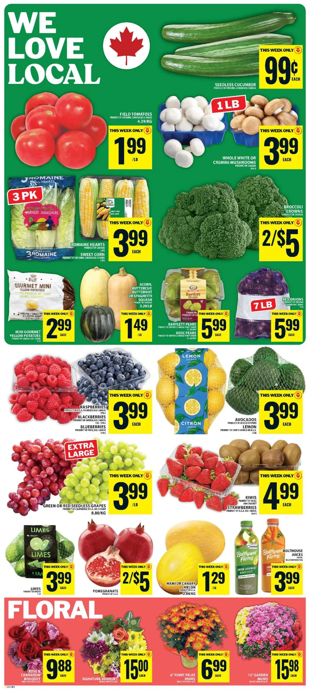Food Basics Flyer (September 17 - 23, 2026) Preview - Page