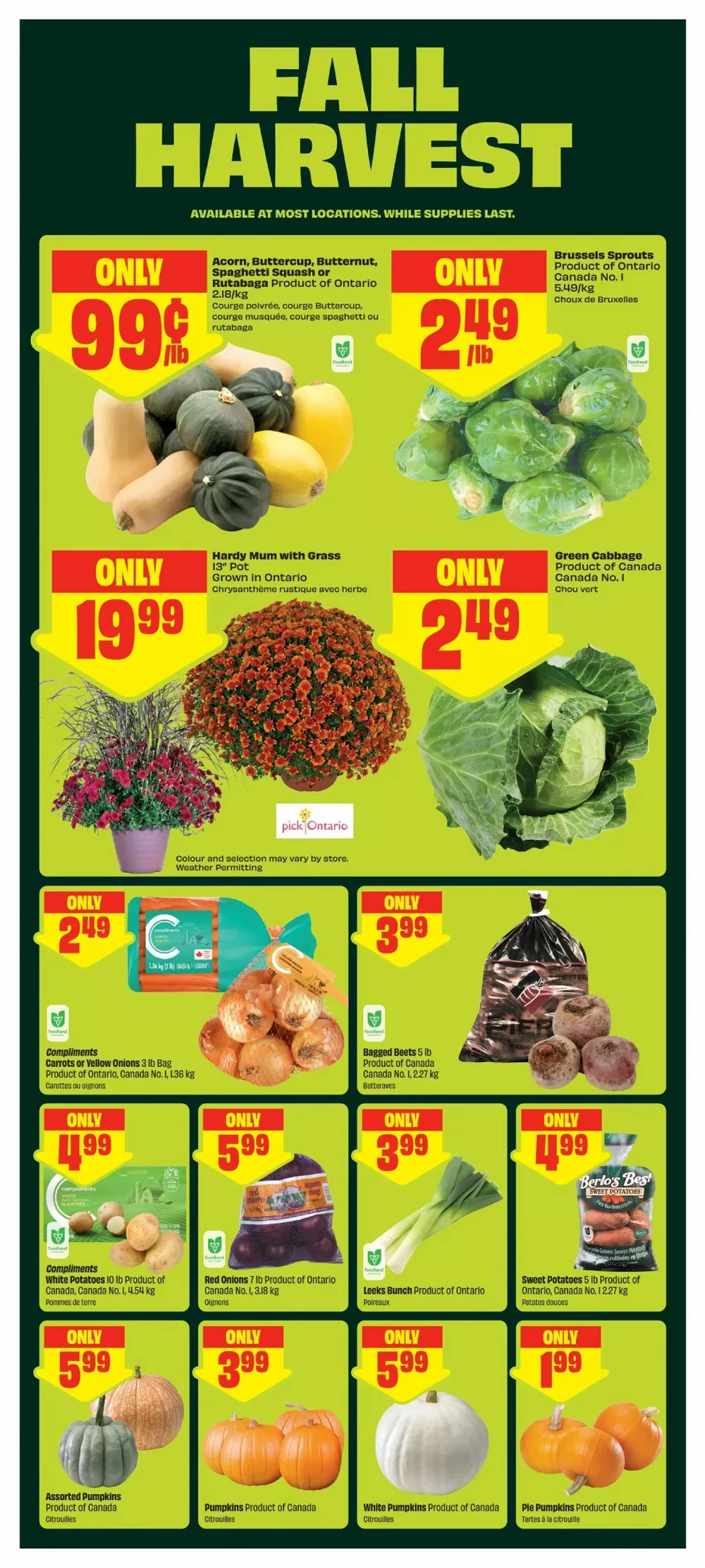 Freshco Flyer (September 17 - 23, 2026) Preview - Page