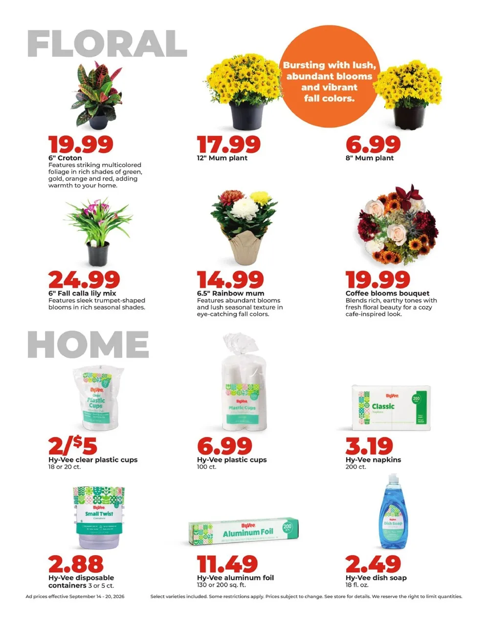 Hy Vee Weekly Ad (September 14 - 20, 2026) Preview - Page