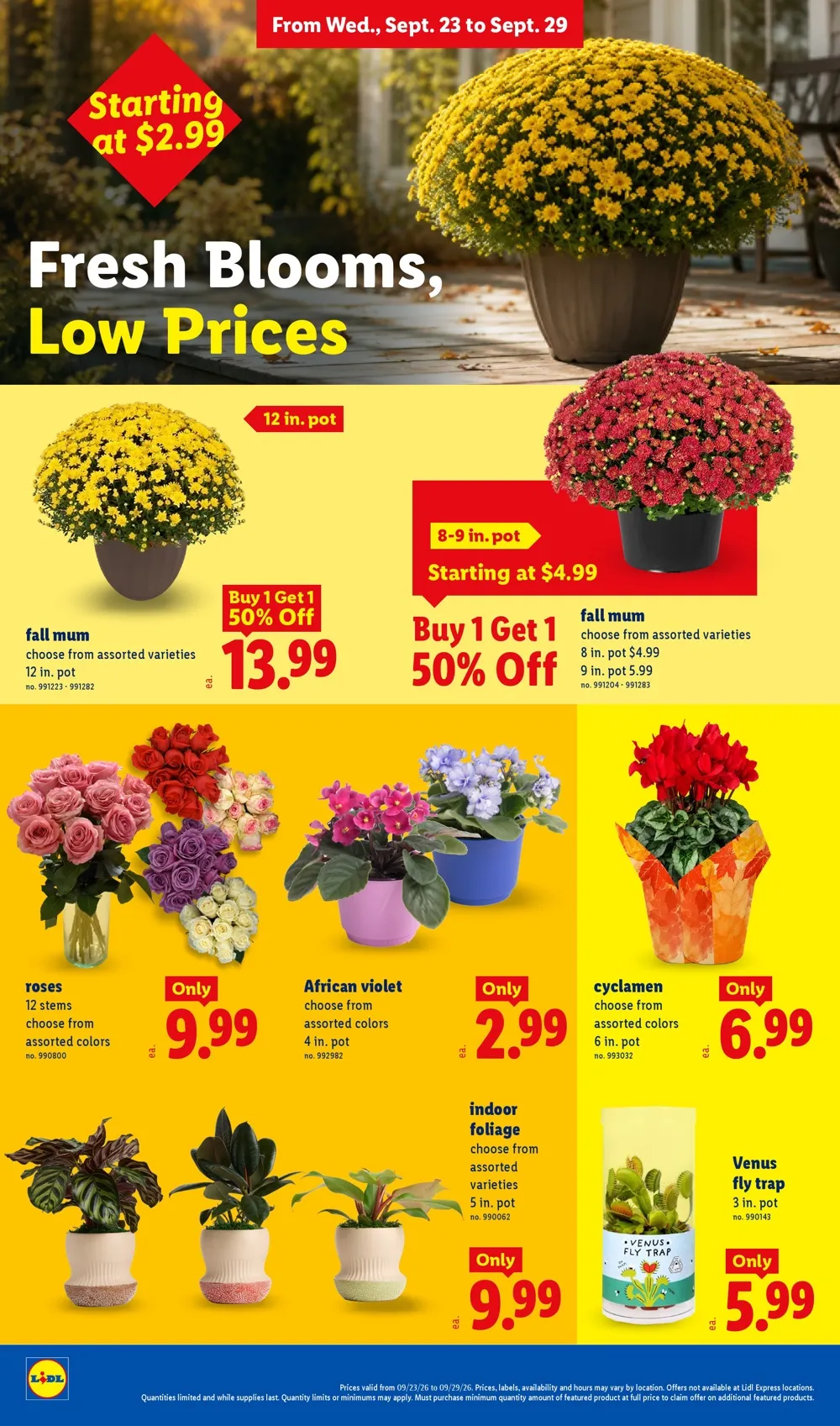 Lidl Weekly Ad (September 23 - 29, 2026) Preview - Page
