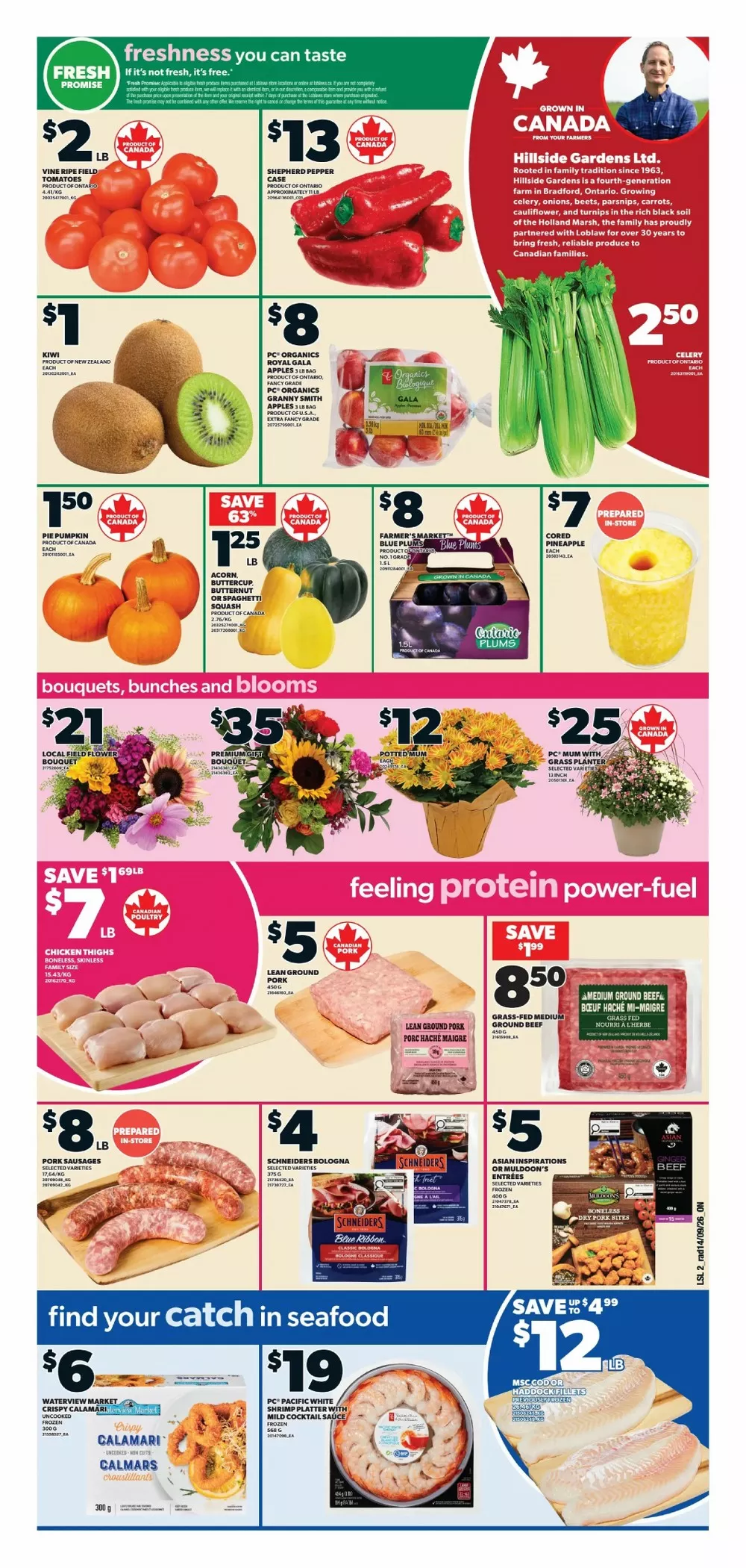 Loblaws Flyer (September 17 - 23, 2026) Preview - Page