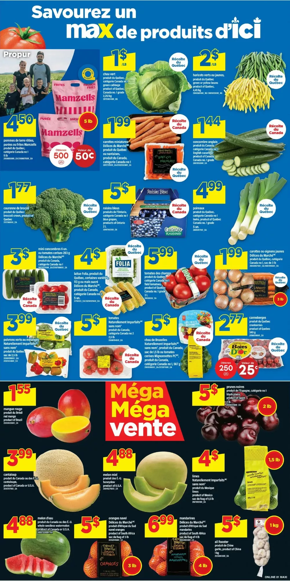 Maxi Flyer (September 17 - 23, 2026) Preview - Page