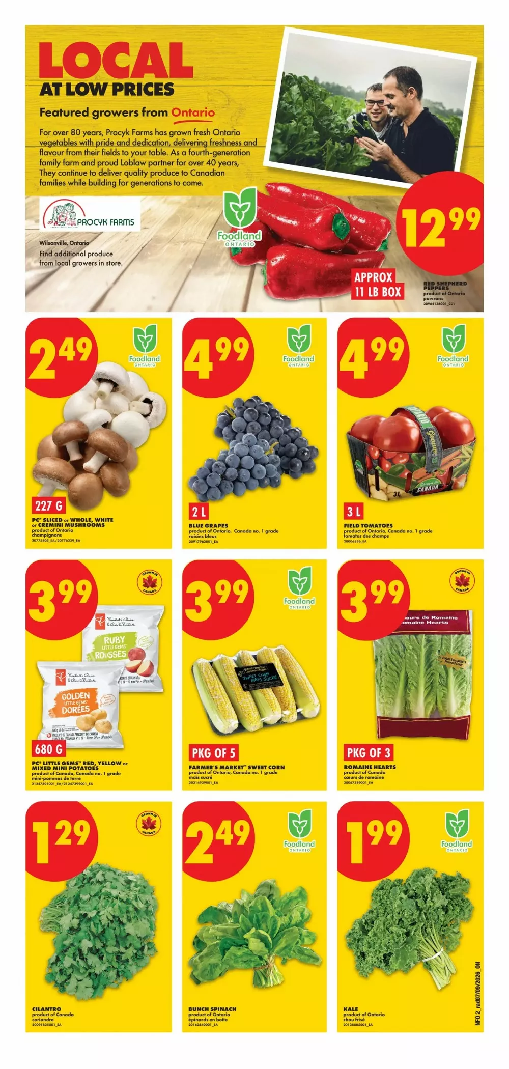 No Frills Flyer (September 17 - 23, 2026) Preview - Page