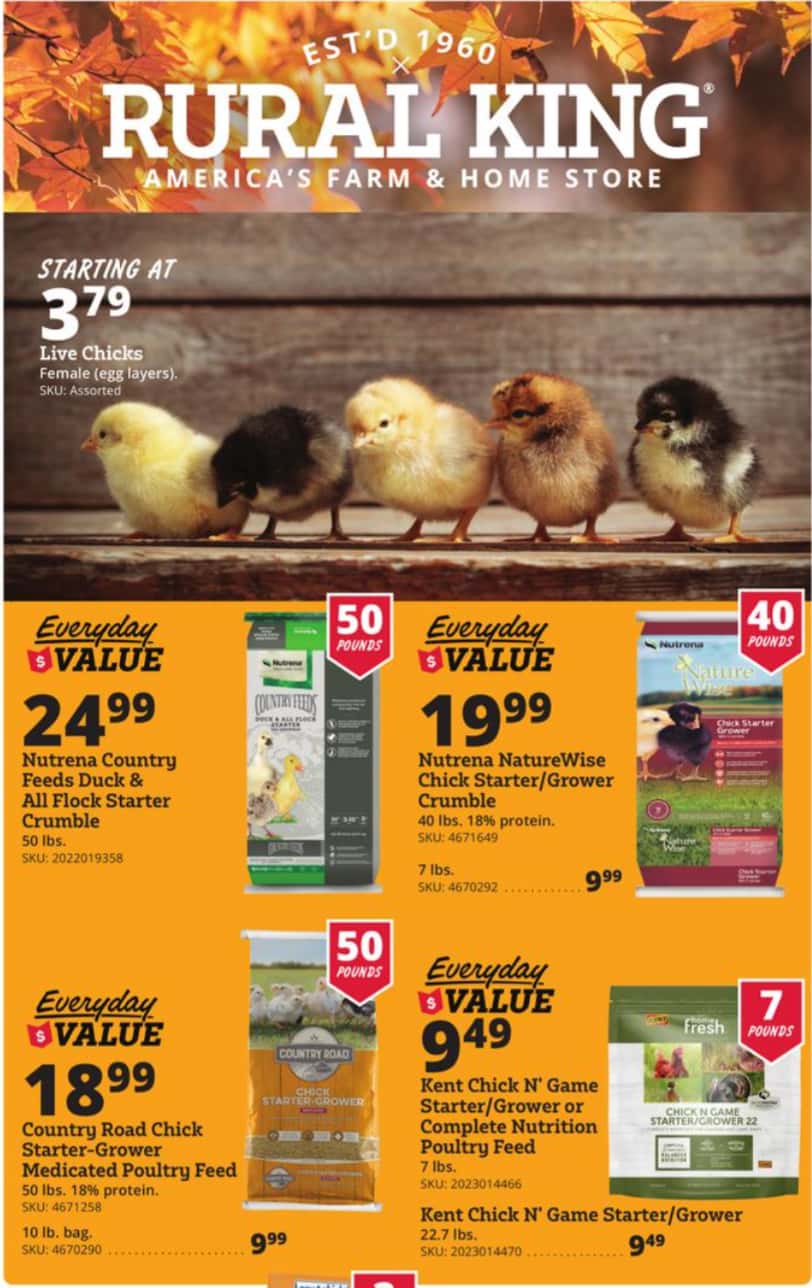 Rural King Weekly Ad (September 17 - 30, 2026) Preview - Page