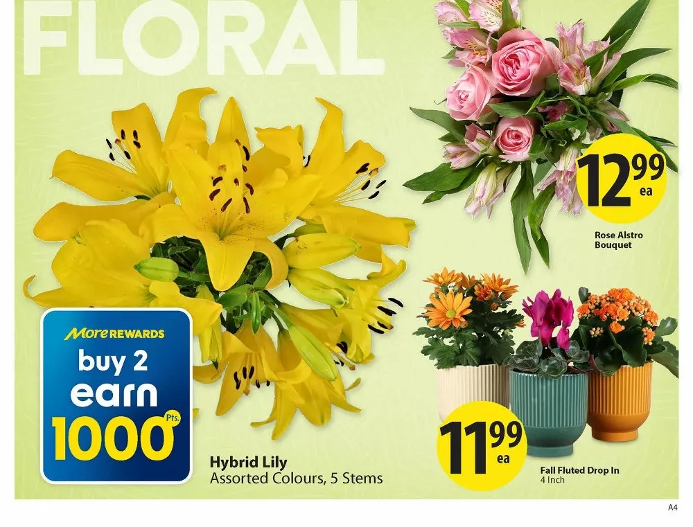 Save on Foods Flyer (September 17 - 23, 2026) Preview - Page
